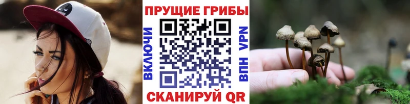 где купить наркоту  Жигулёвск  Псилоцибиновые грибы прущие грибы 